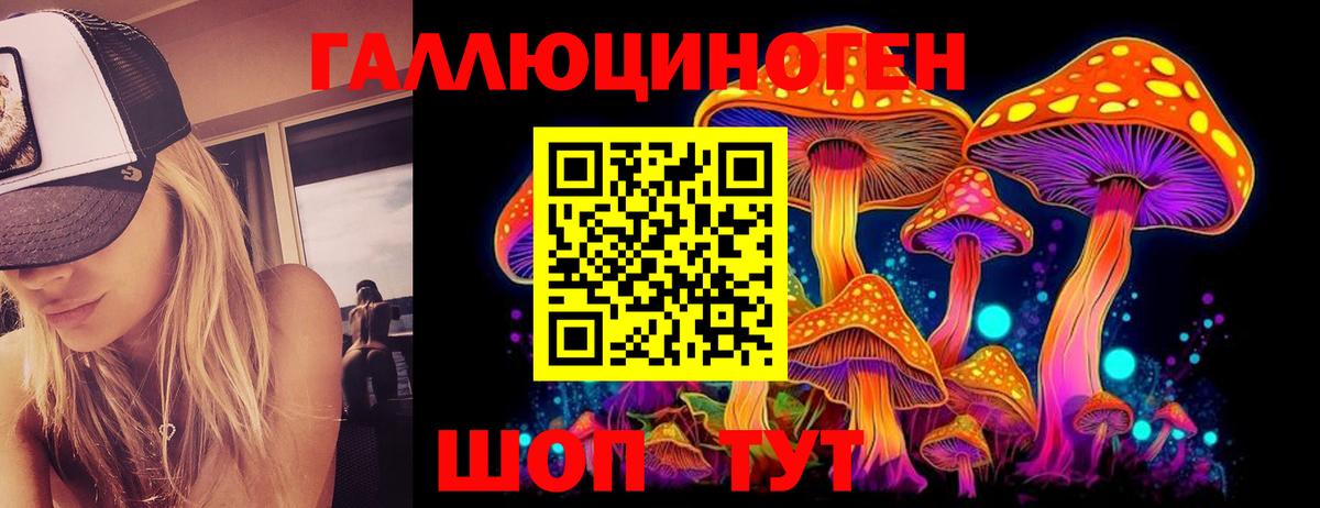 Галлюциногенные грибы прущие грибы  Вход с VPN  Знаменск  Псилоцибиновые грибы Psilocybe 